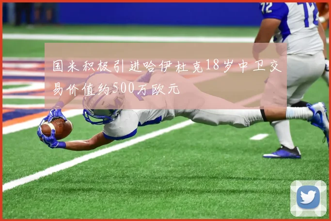 国米积极引进哈伊杜克18岁中卫交易价值约500万欧元