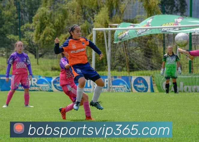 bob体育发展历程