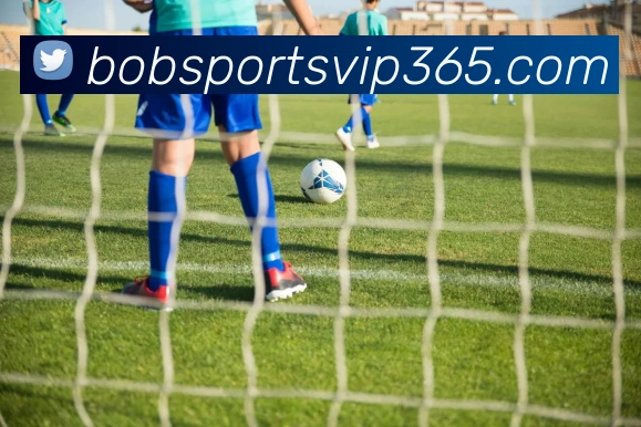 布基纳法索主帅因未达非洲杯半决赛目标被解雇引发热议